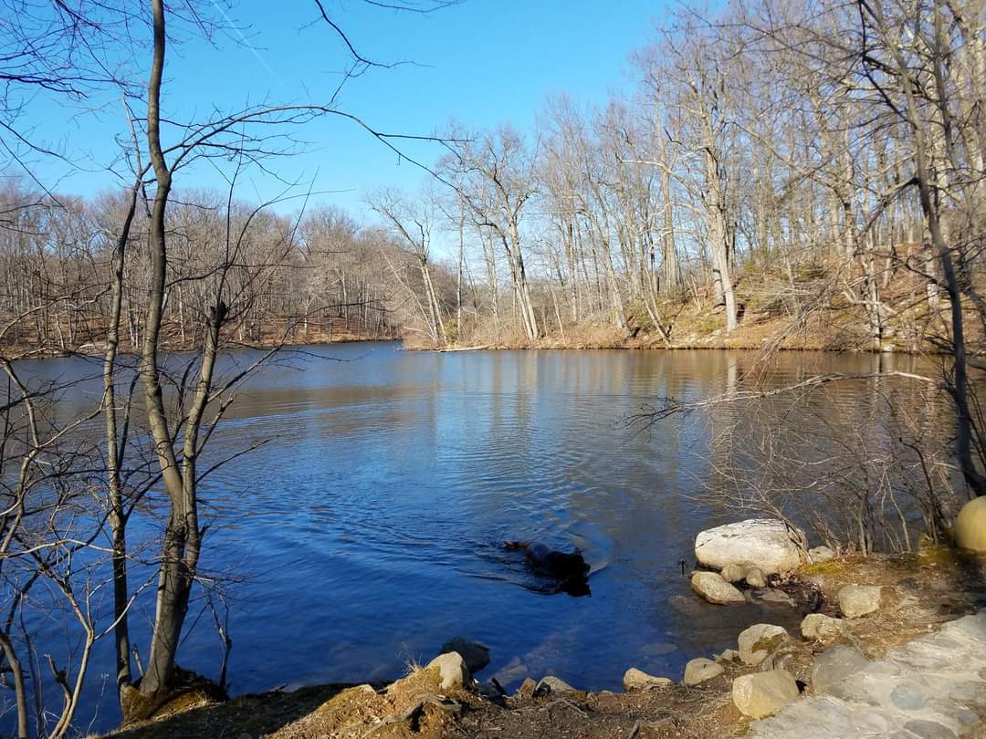 Mountain Lake