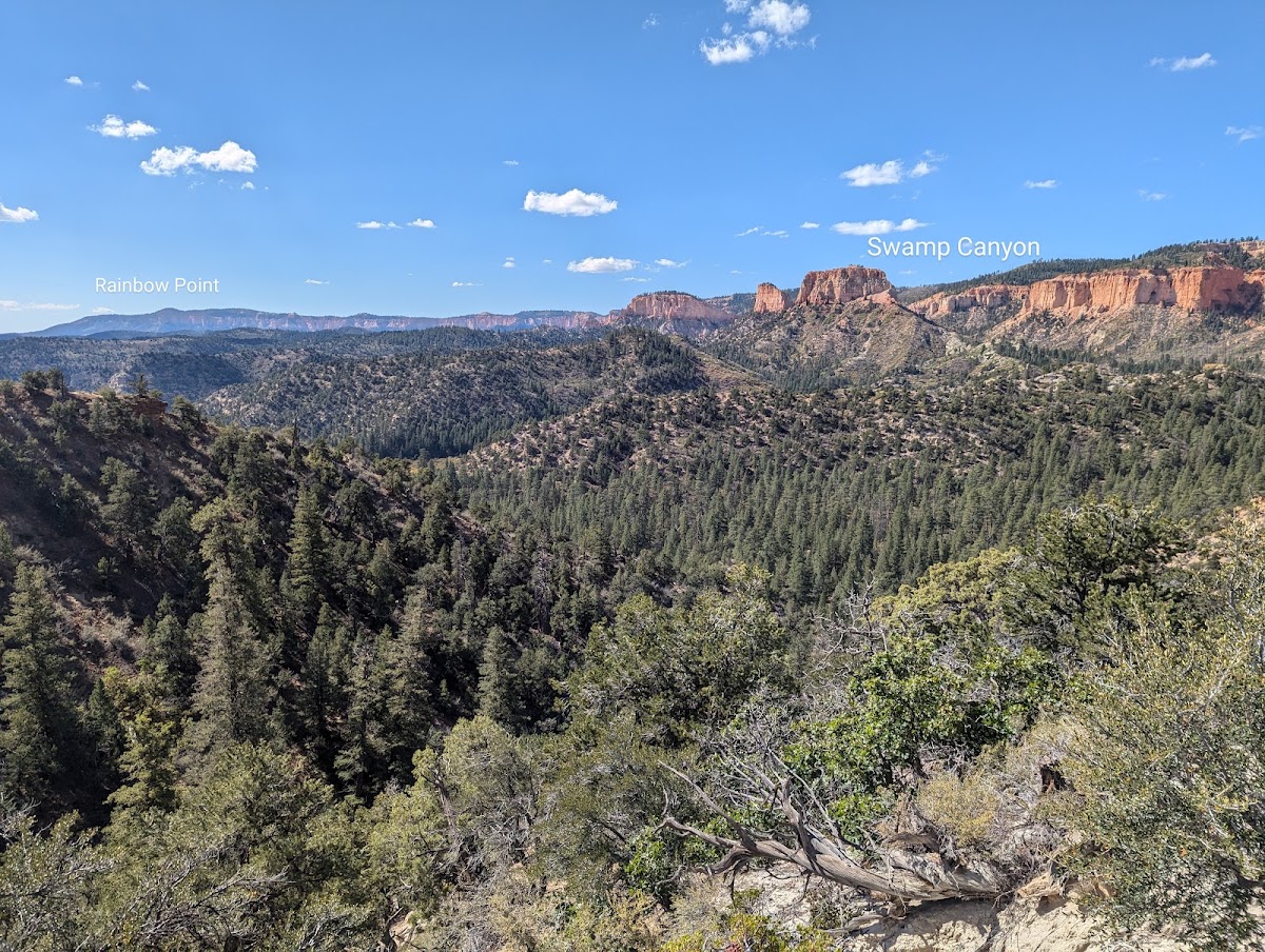 Under-the-Rim Trail