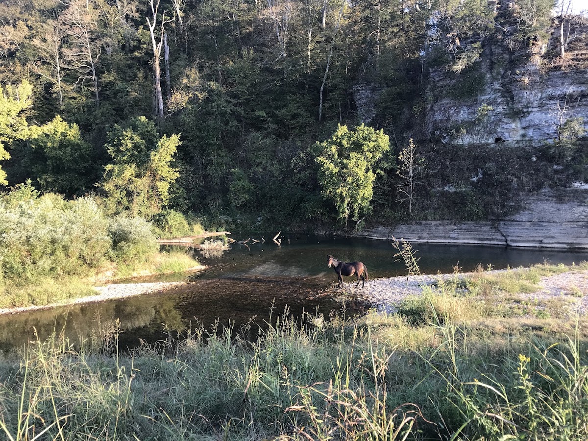 Hurricane Creek