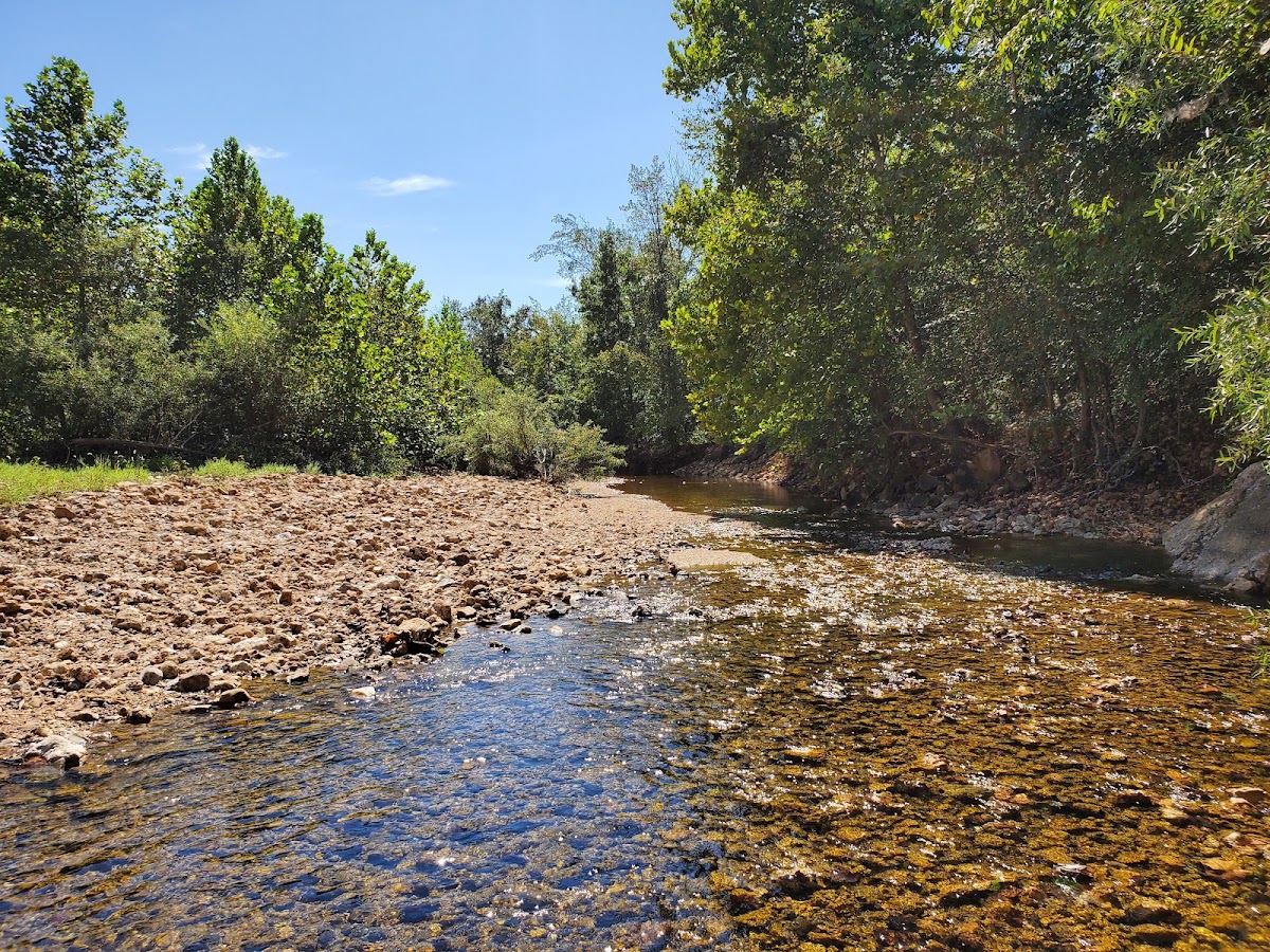Twelvemile Creek