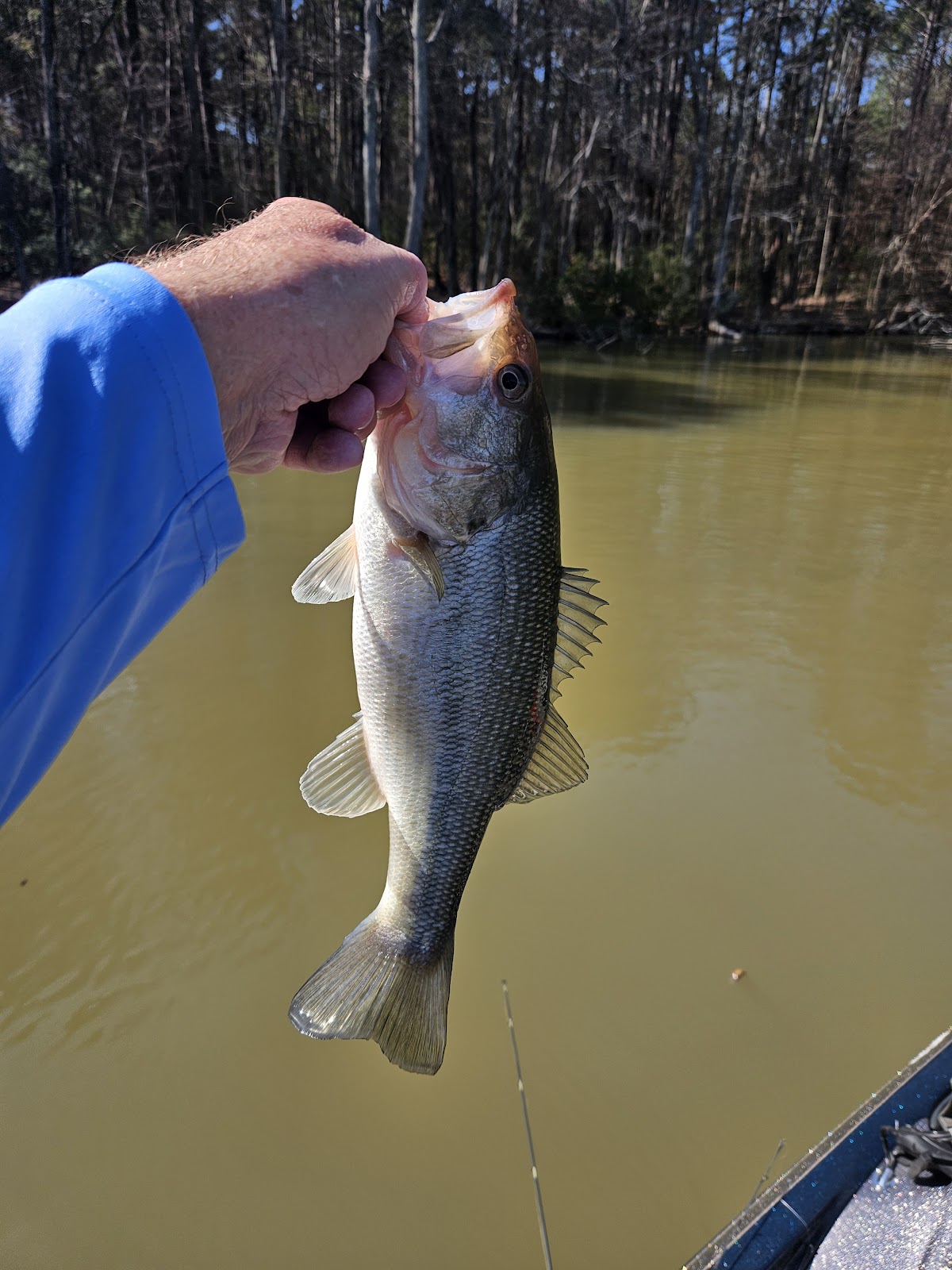 Little Saluda River
