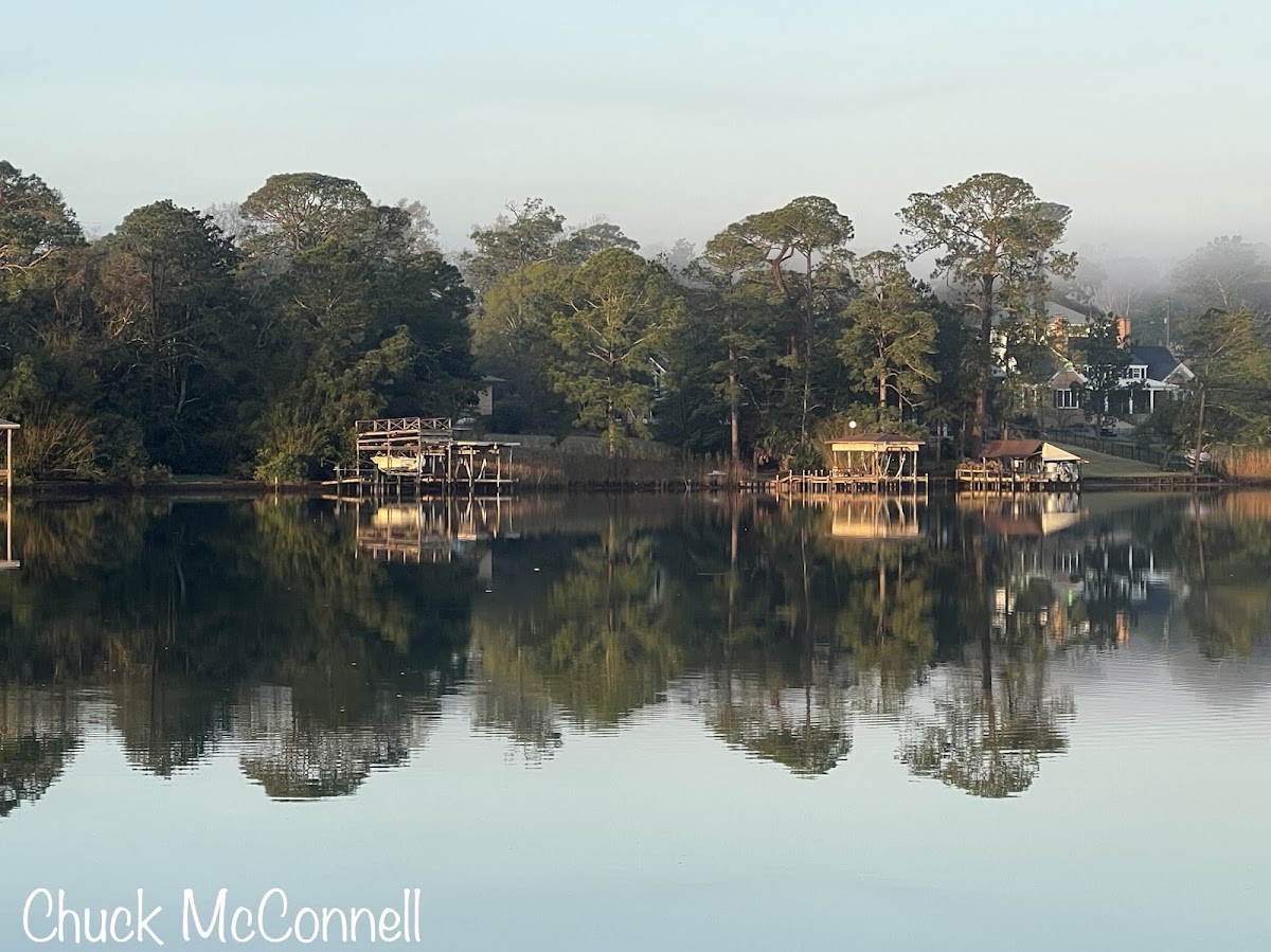 Bayou Texar