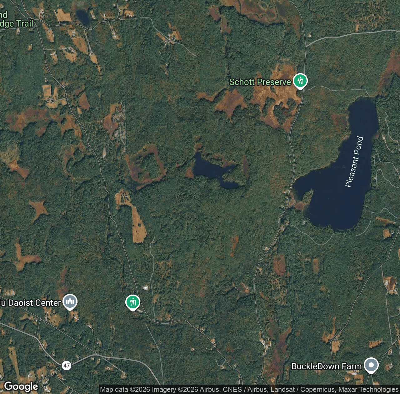 Shattuck Pond Town Forest