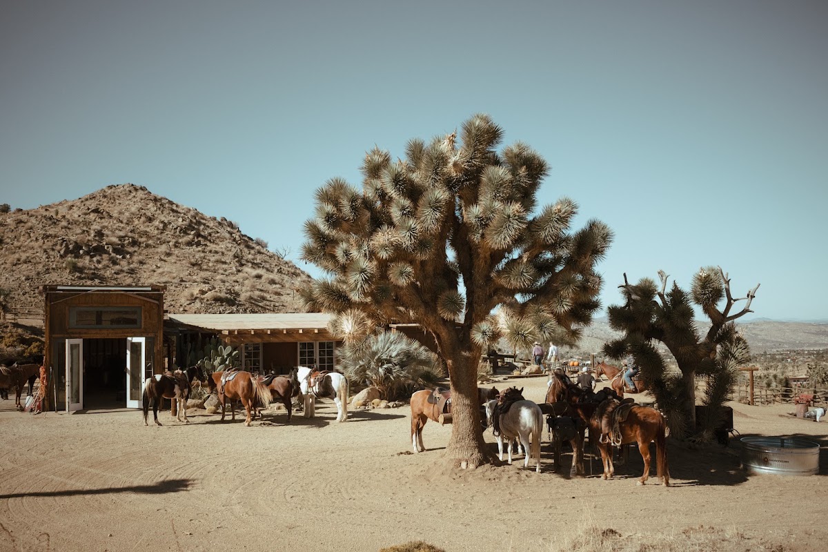 Horse Camp
