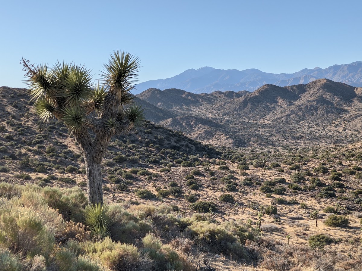High View Nature Trail
