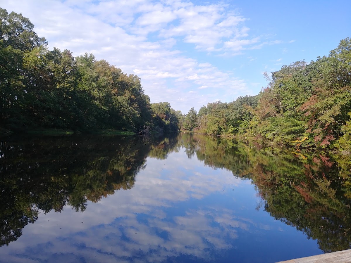 Maskells Millpond