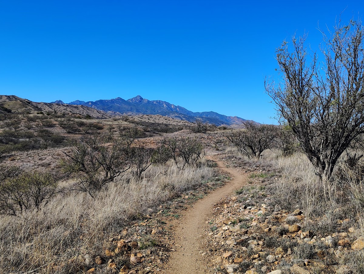 Arizona Trail // Casa Blanca Canyons #161