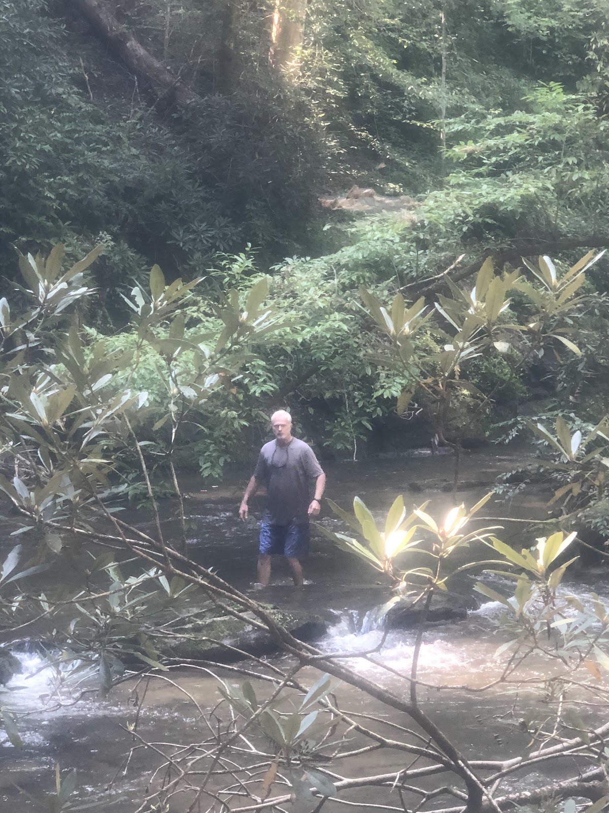 Howard Creek