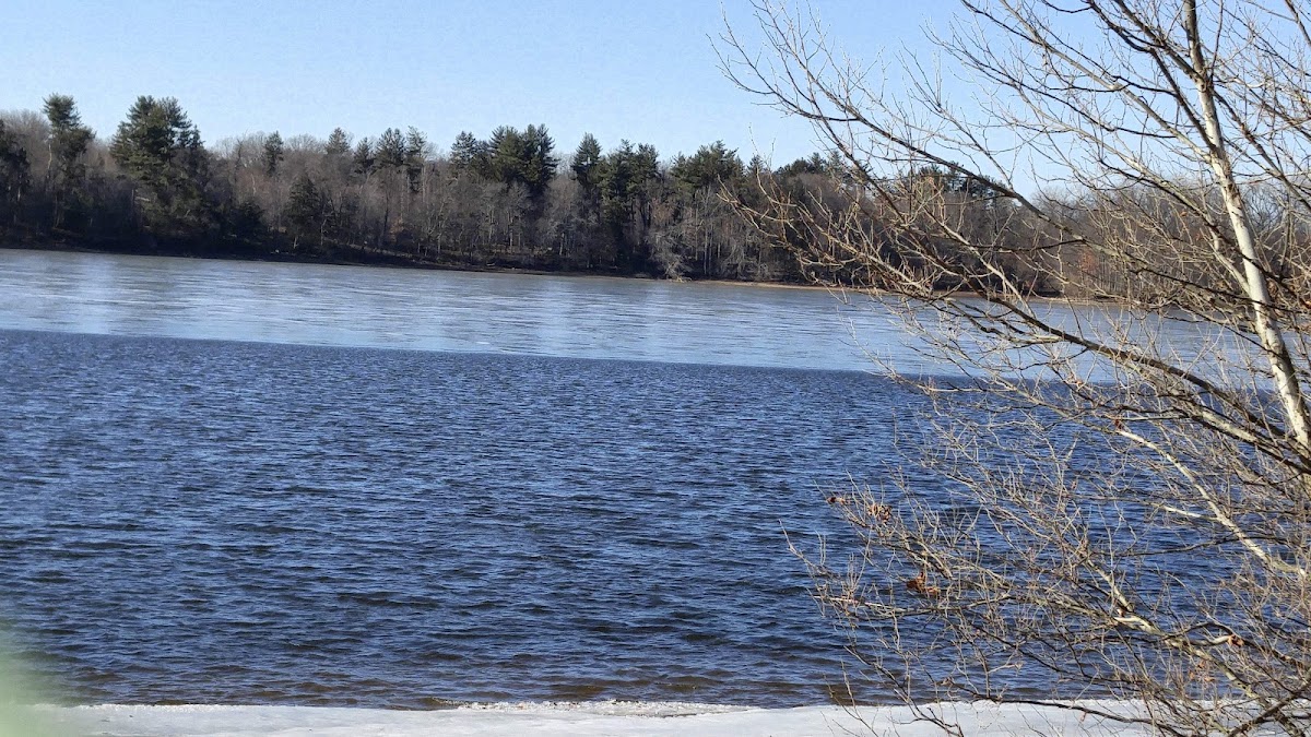 Oradell Reservoir