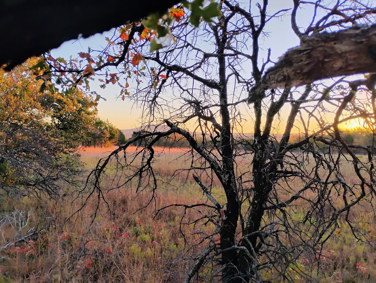 James Collins Wildlife Management Area