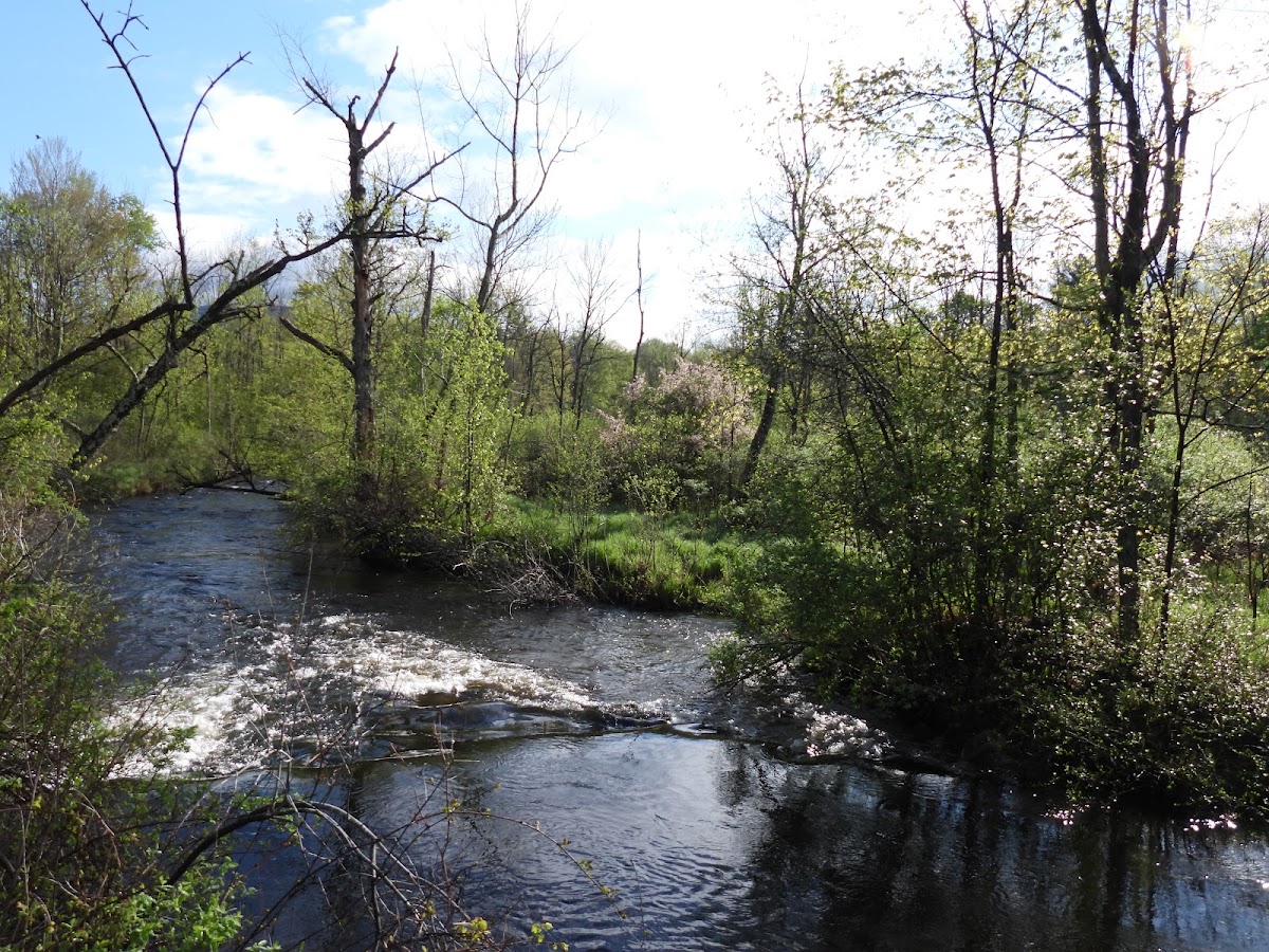 Jewett Brook