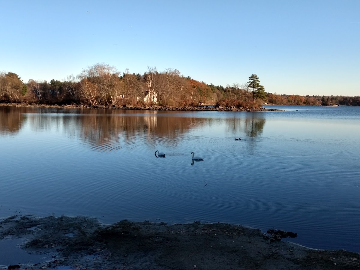 Singletary Pond