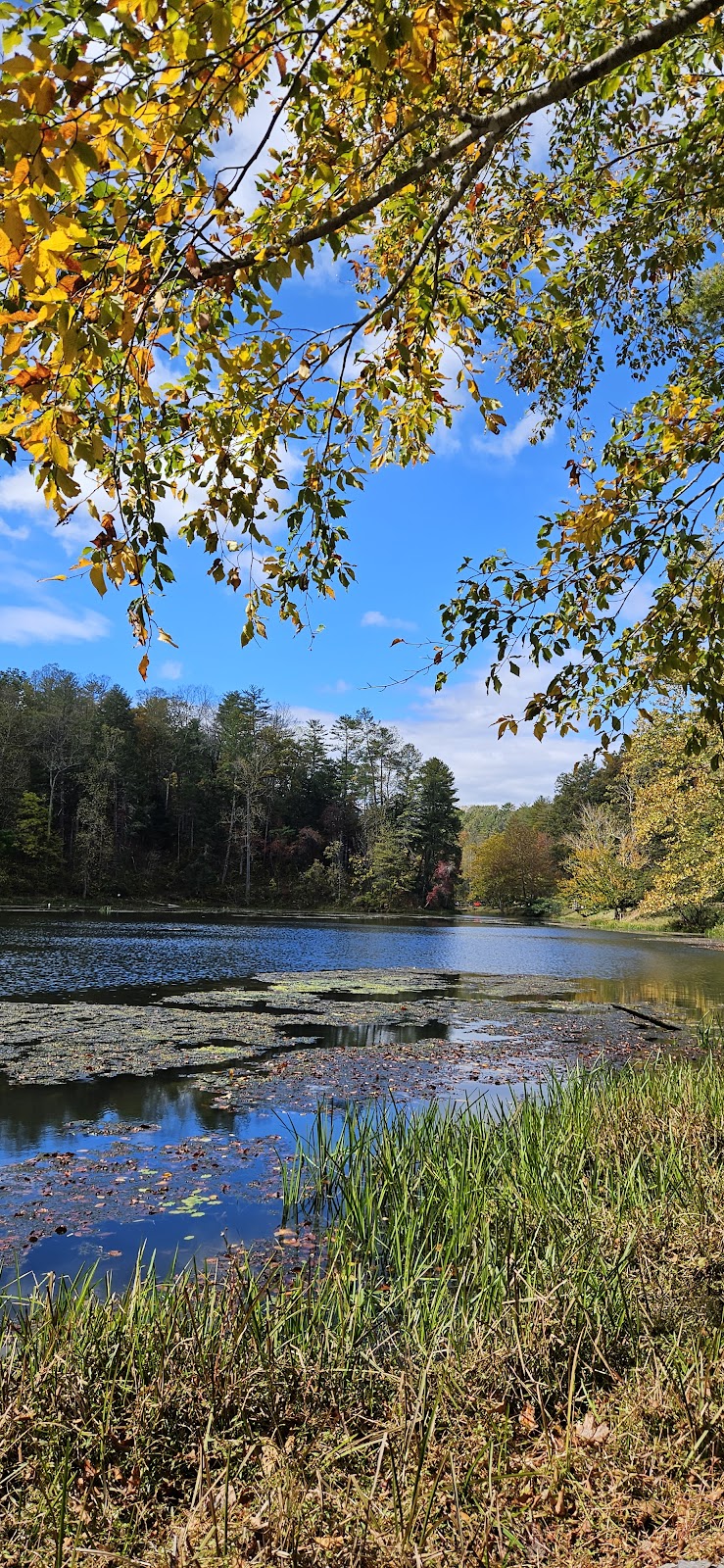 Otter Lake Loop Trail