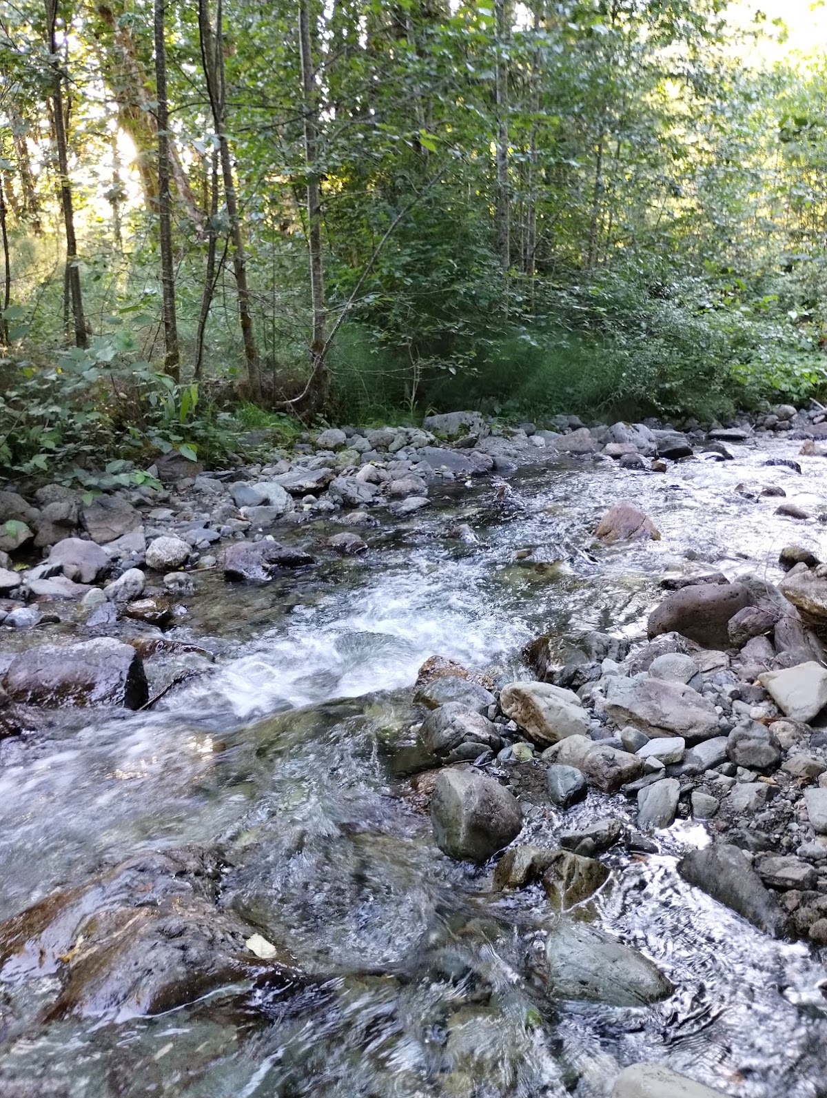 White Chuck River