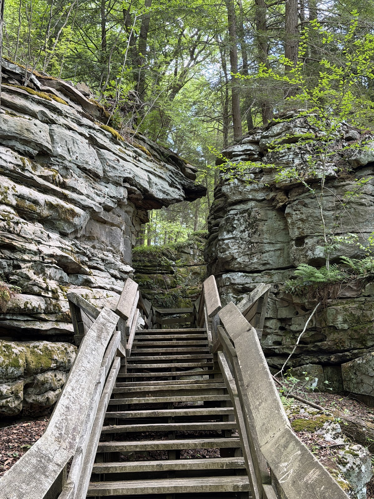 Jesse's Cove Trail