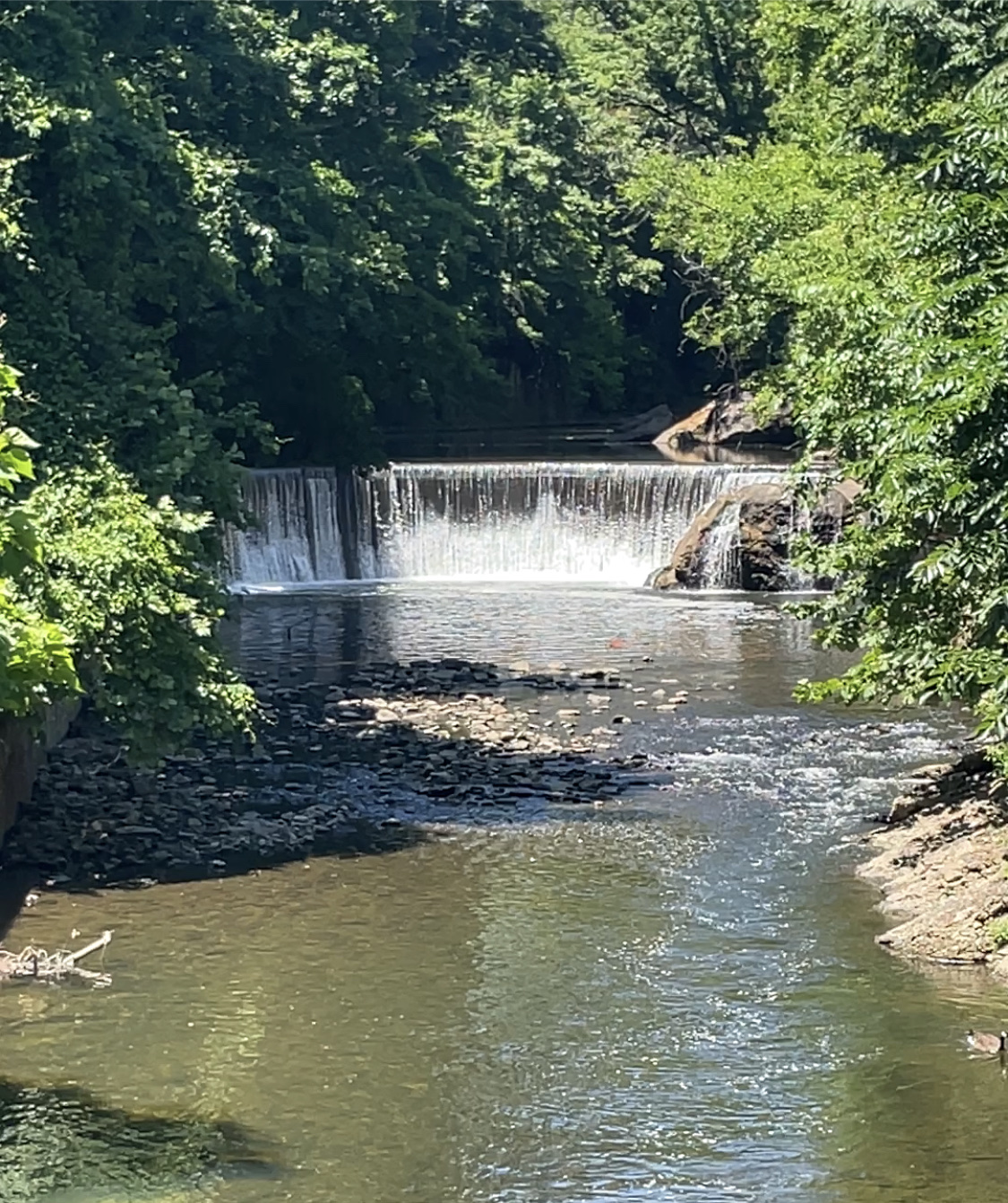 Gwynns Falls