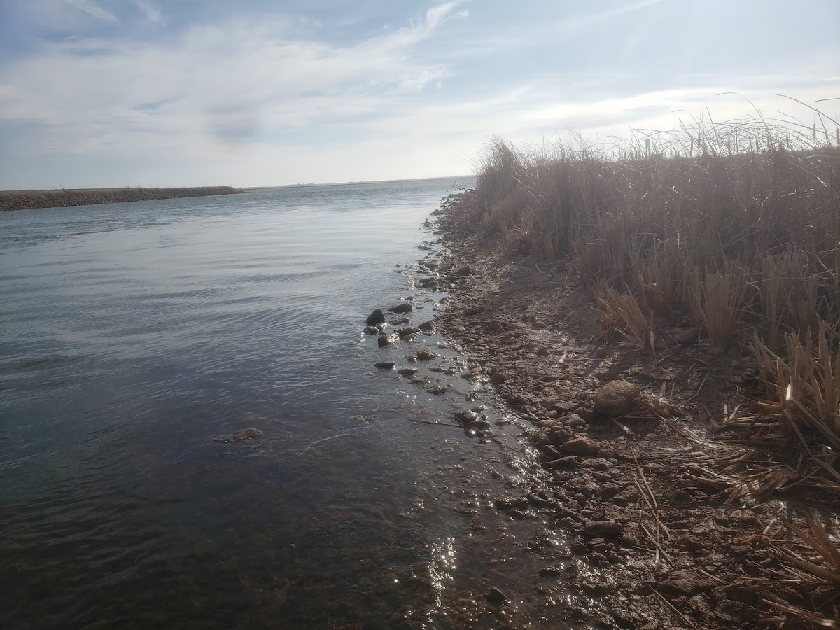 Sooner Lake