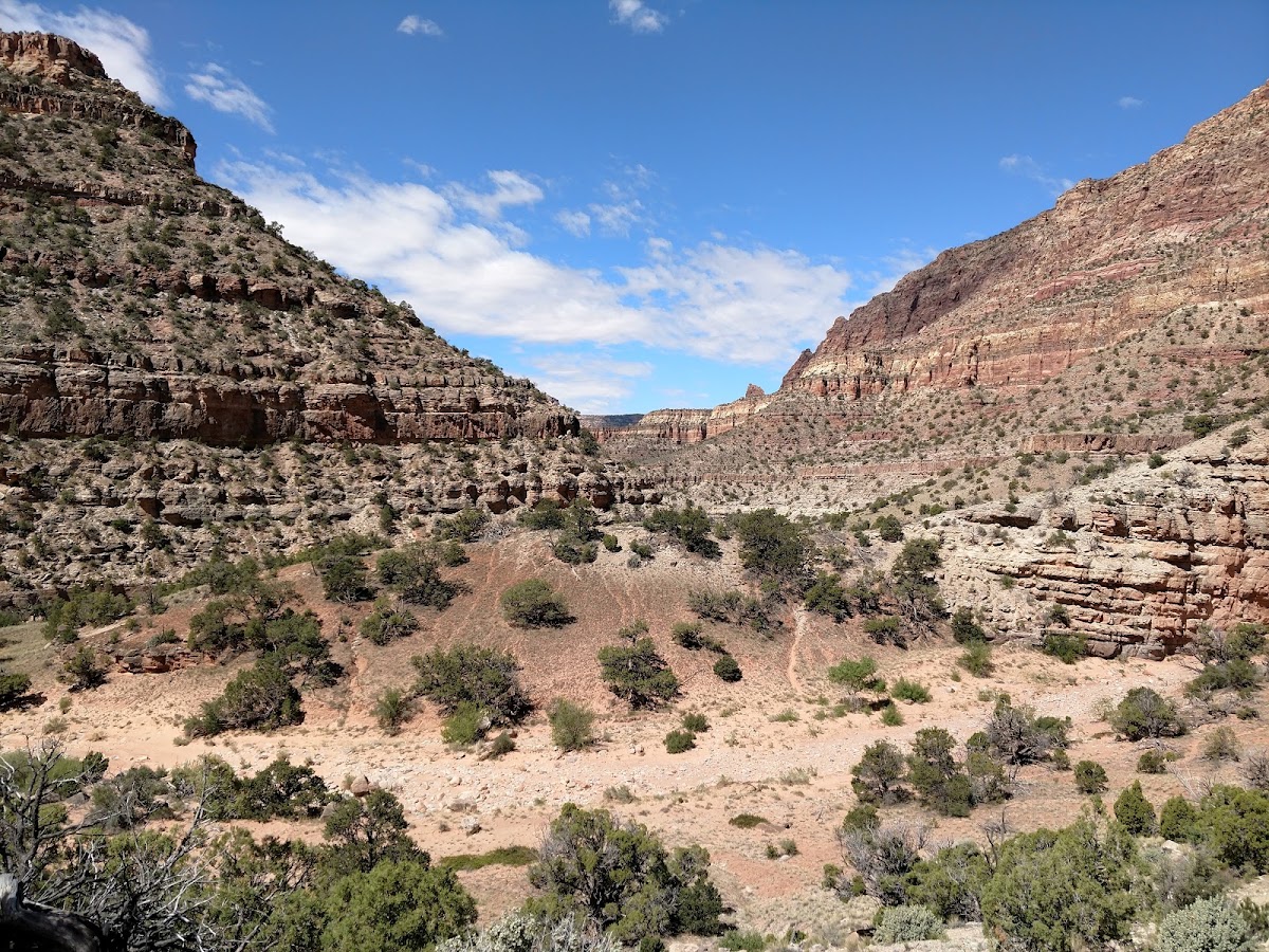 Woodenshoe Trail (165)