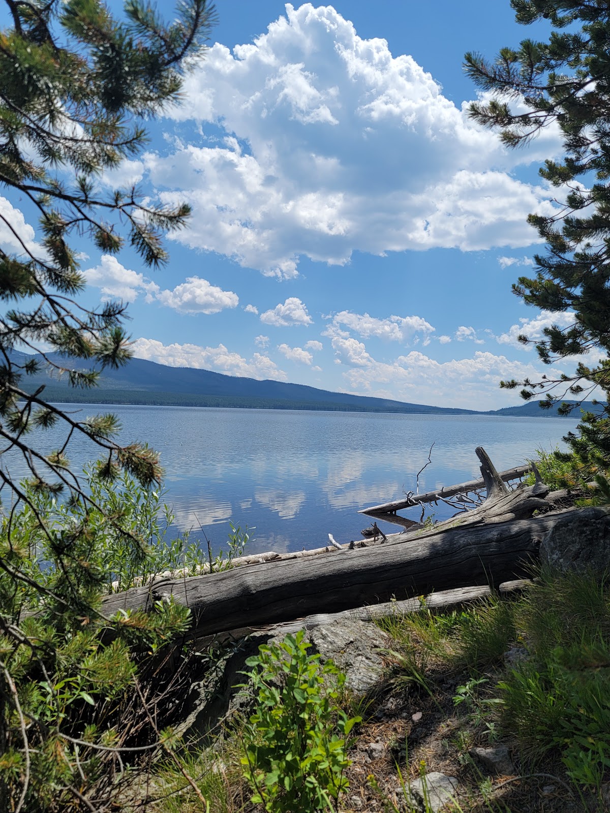 Dogshead Creek