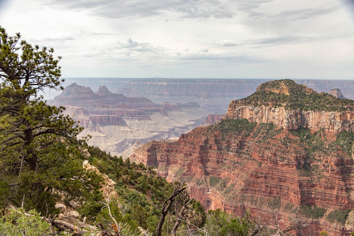 Transept Trail