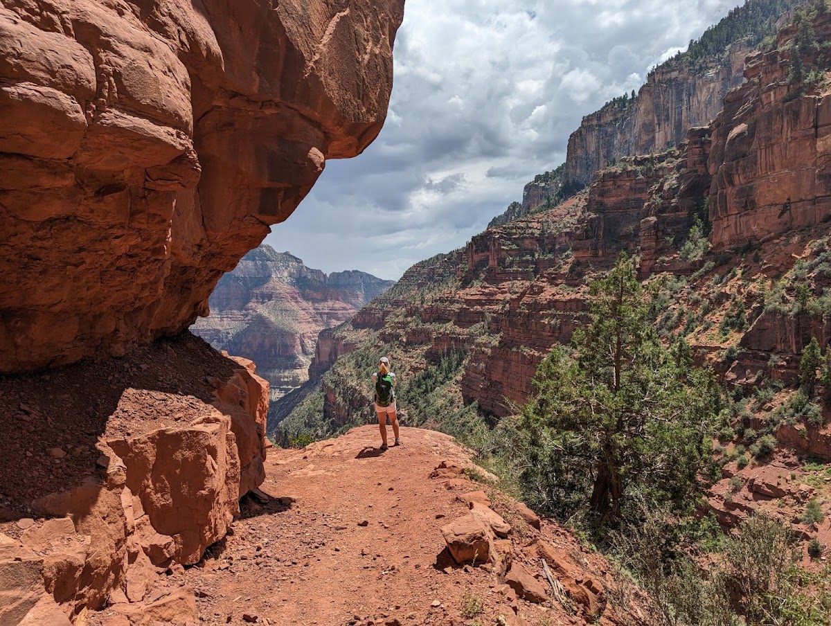 Bridle Trail