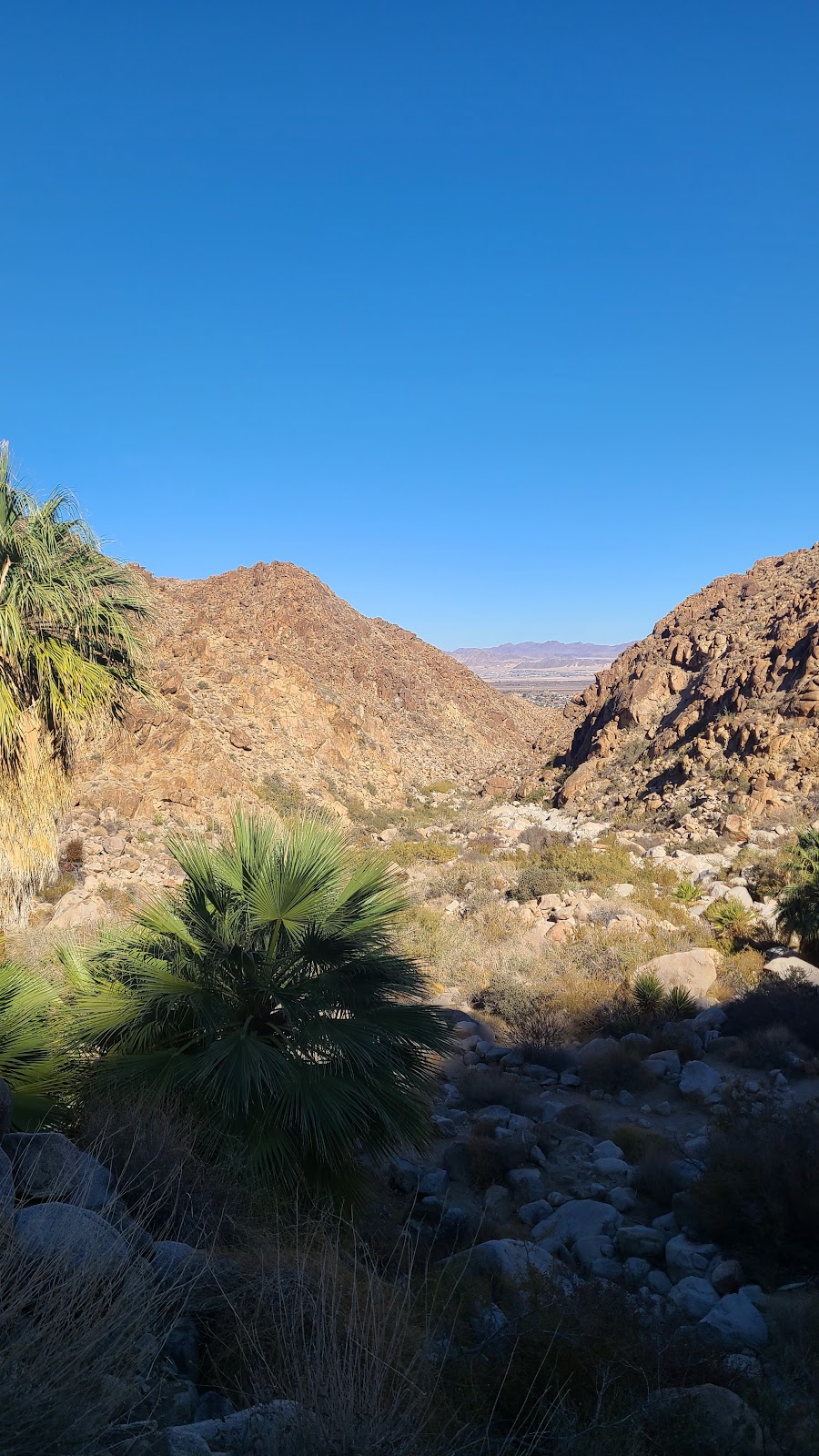 Fortynine Palms Trail