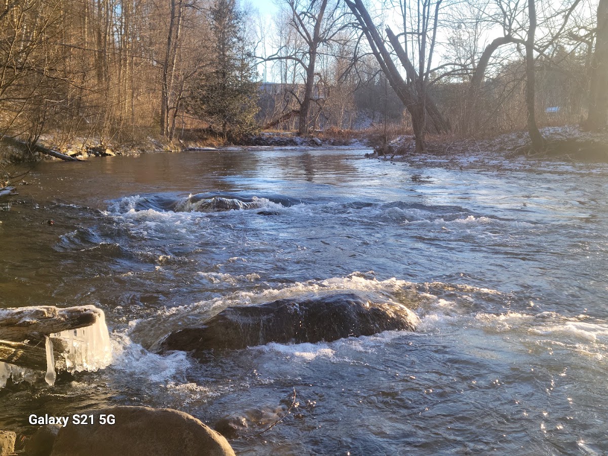 Whilloughby Brook