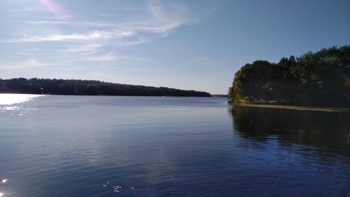 Pachaug Pond