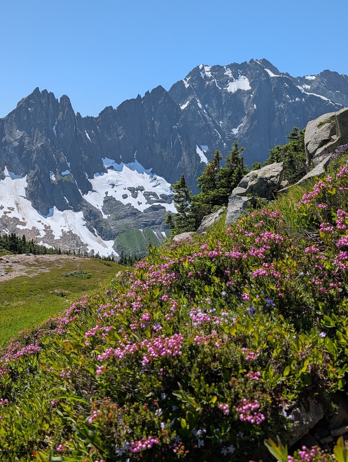 Sahale Arm Trail