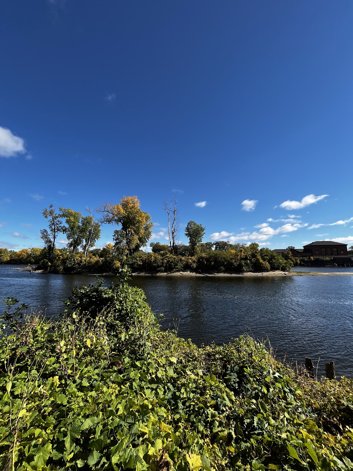 Olson's Island