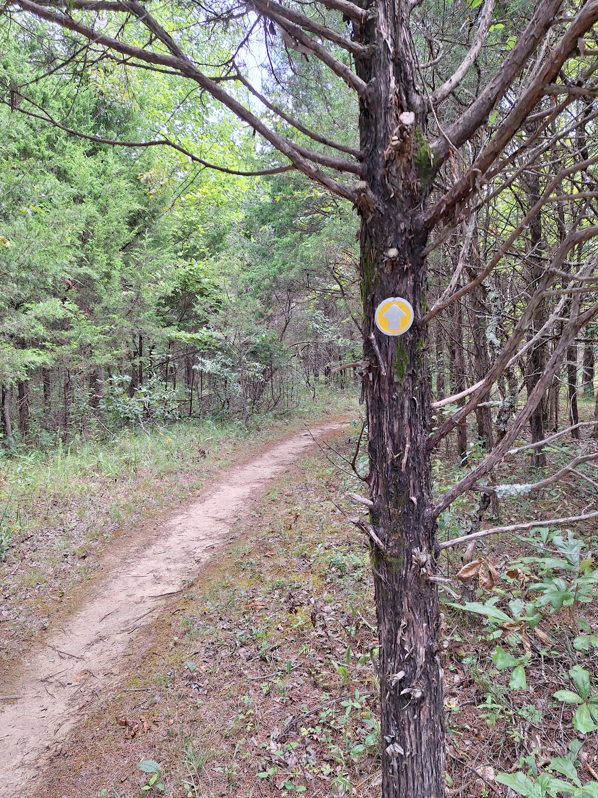 McDougal Lake Park