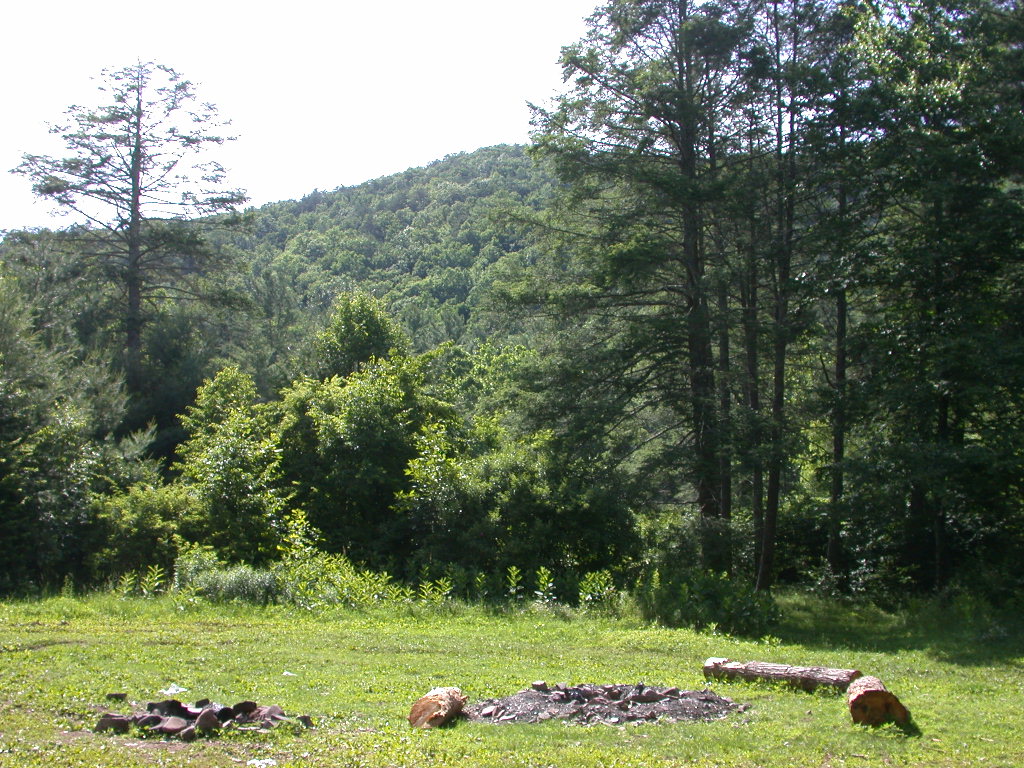 Skidmore Fork