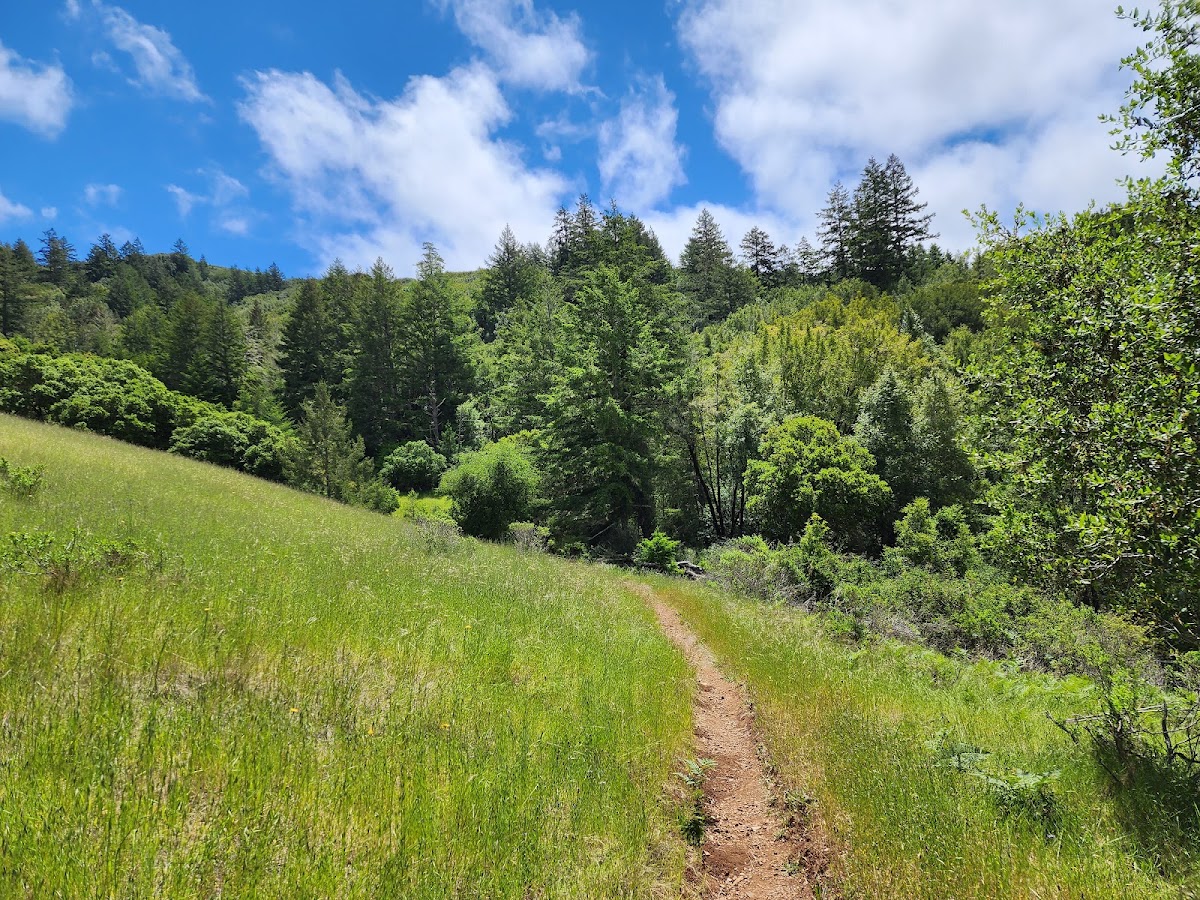 Devil's Gulch Creek