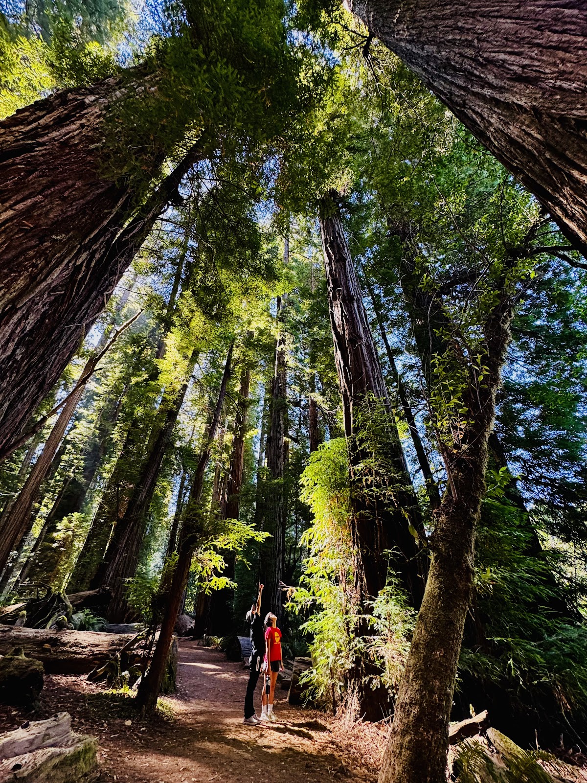 Stout Grove Trail