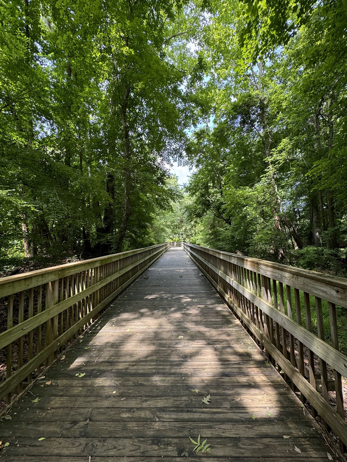South Tar River Greenway