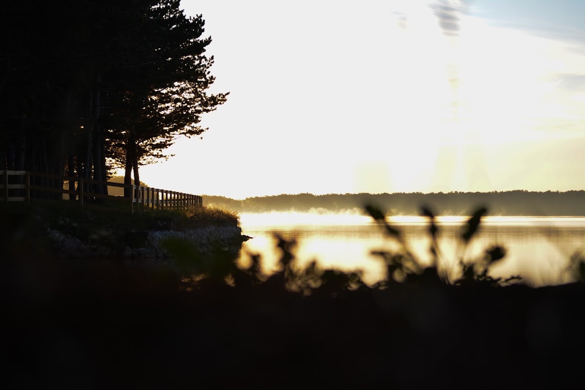 Holloway Reservoir Regional Park