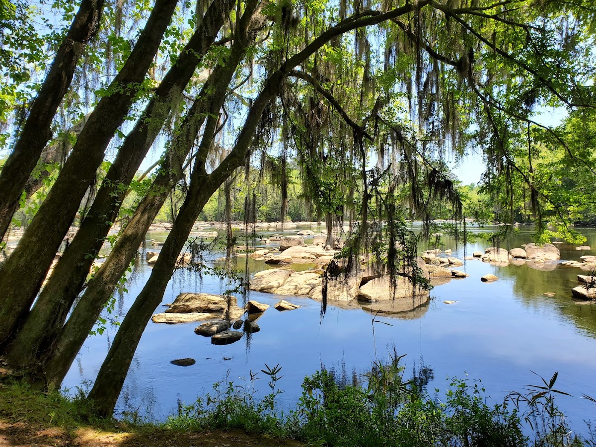Congaree River