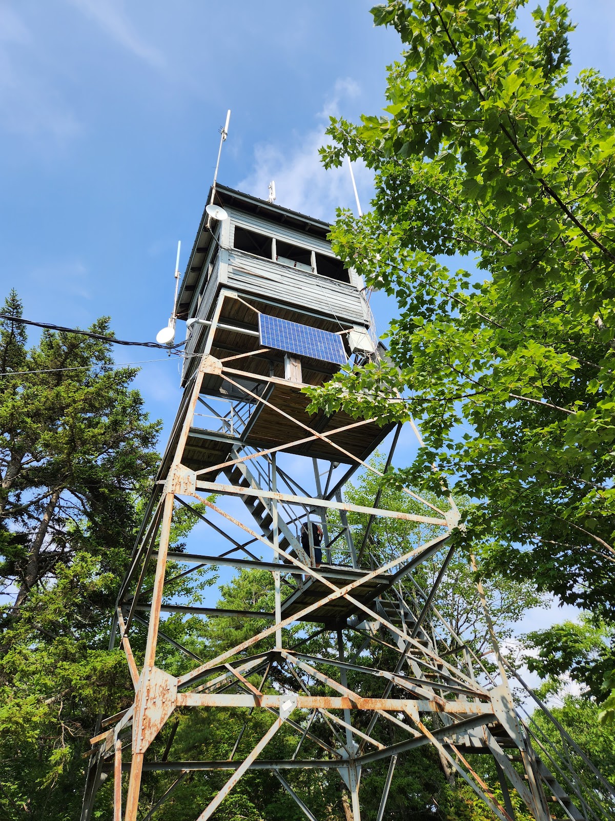 Hemenway State Forest