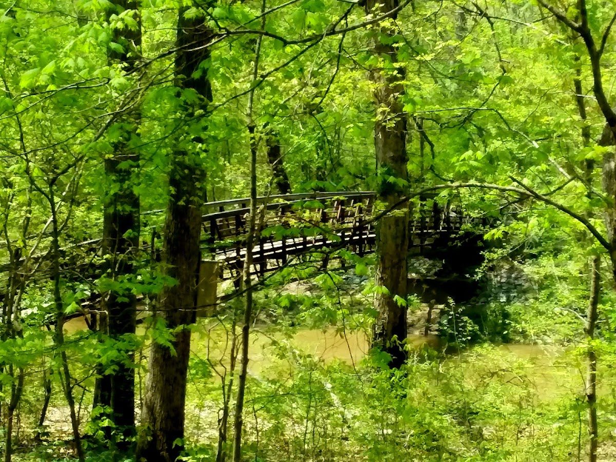 Dutchman Creek