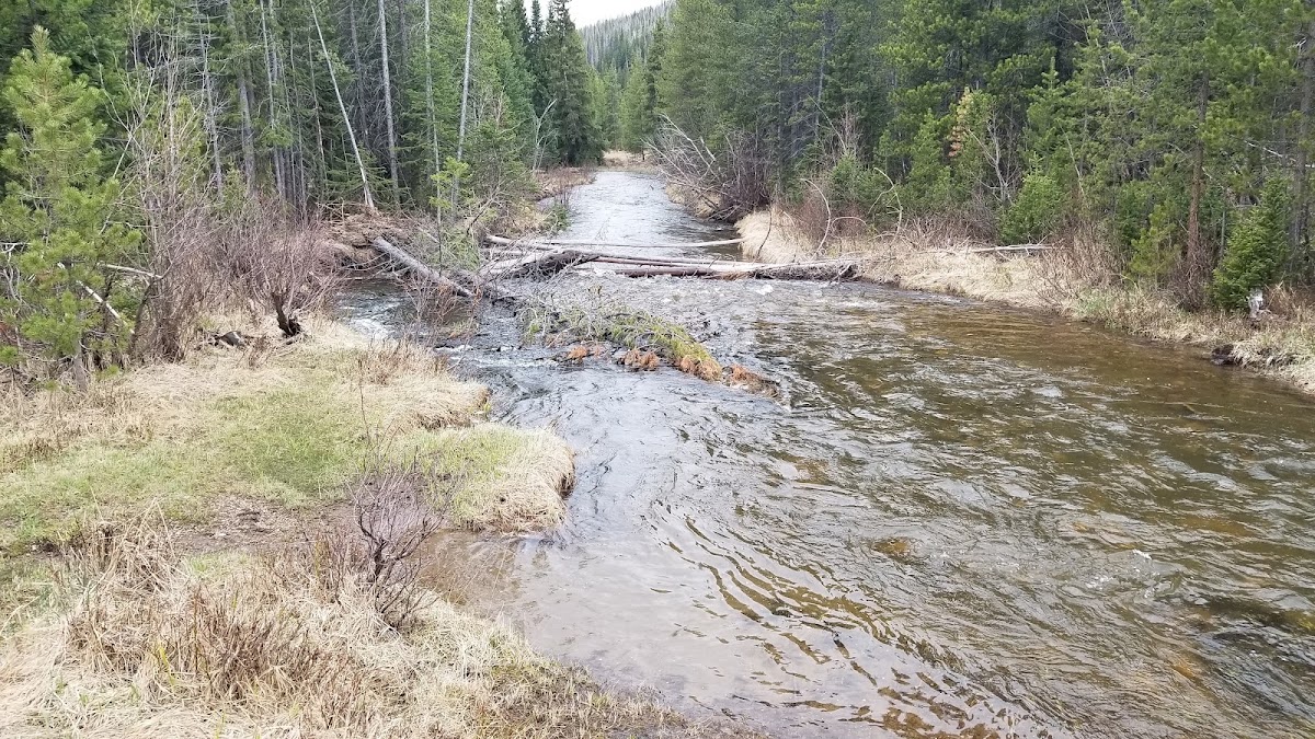Colorado River Trail