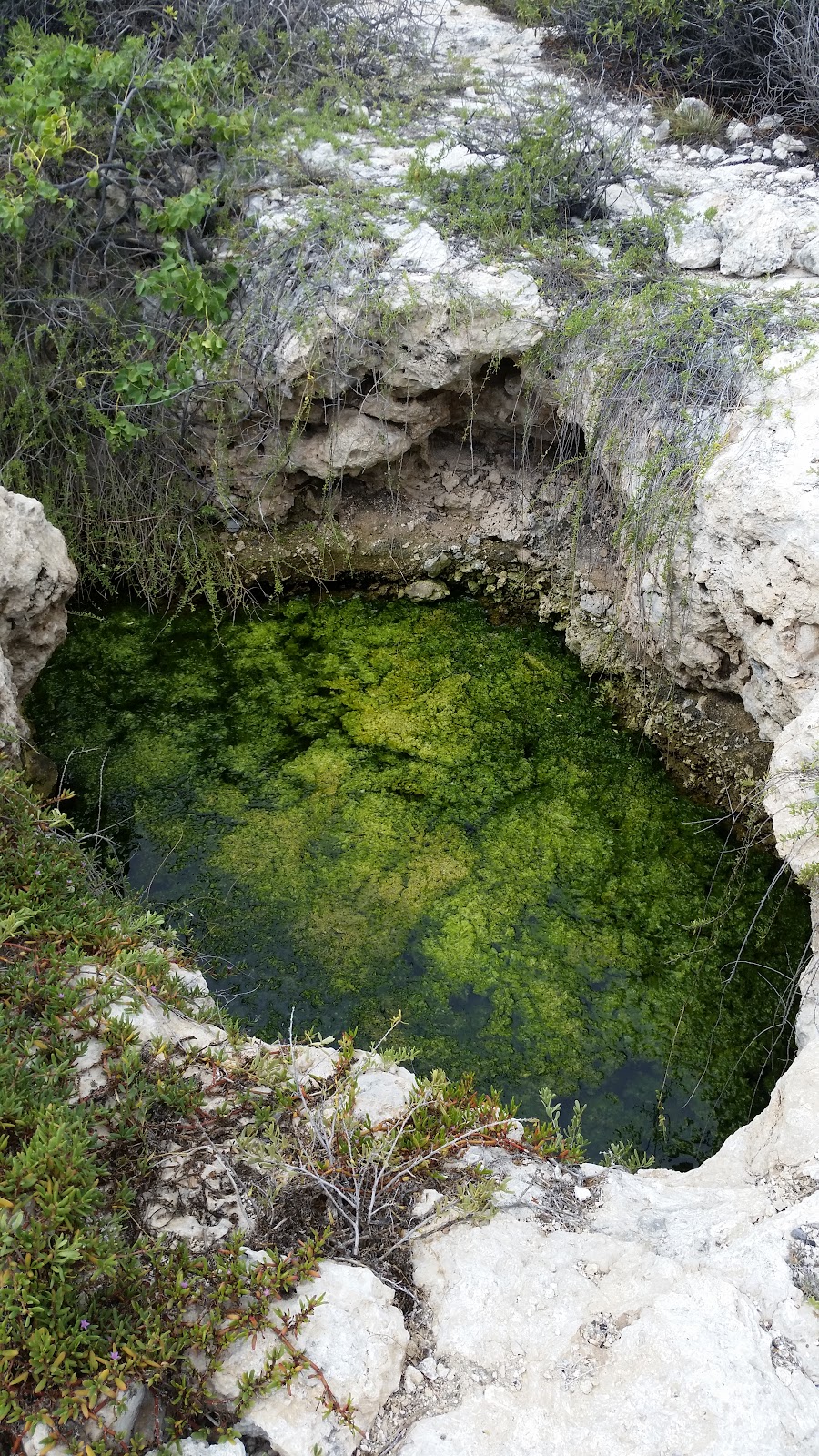 Pearl Harbor National Wildlife Refuge - Kalaeloa Unit