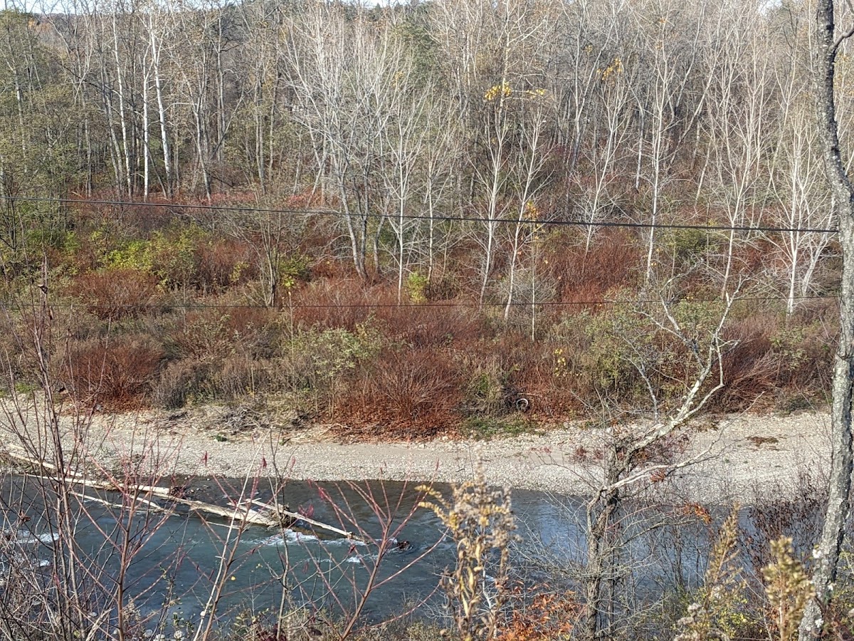 Cattaraugus Creek