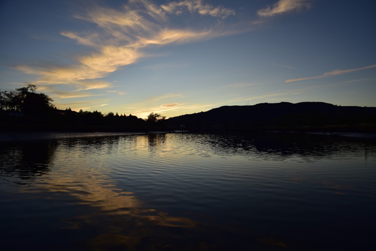 Willapa River