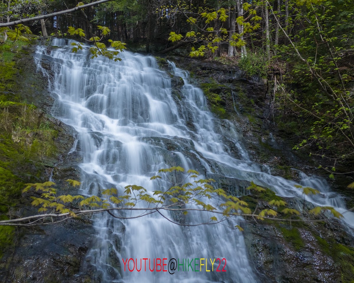 Muckross State Park