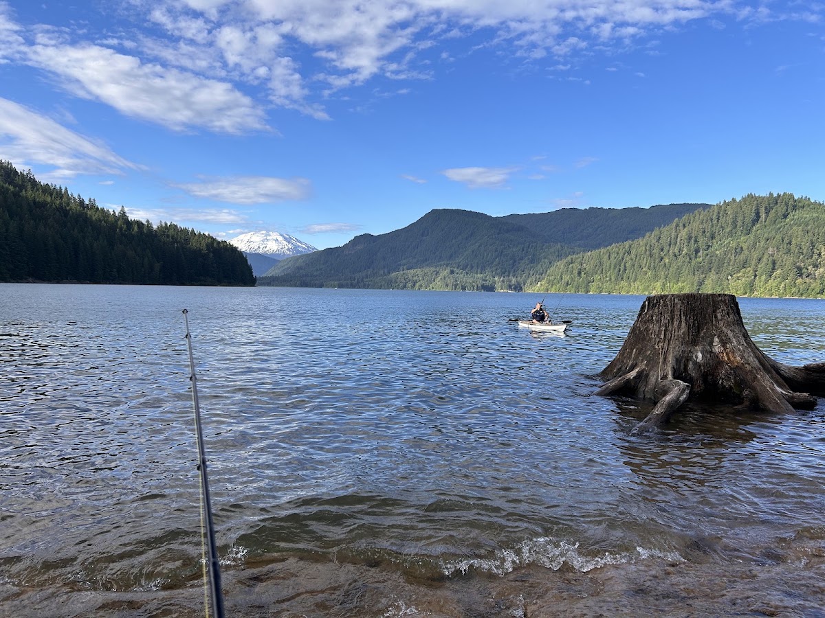 Lake Merwin