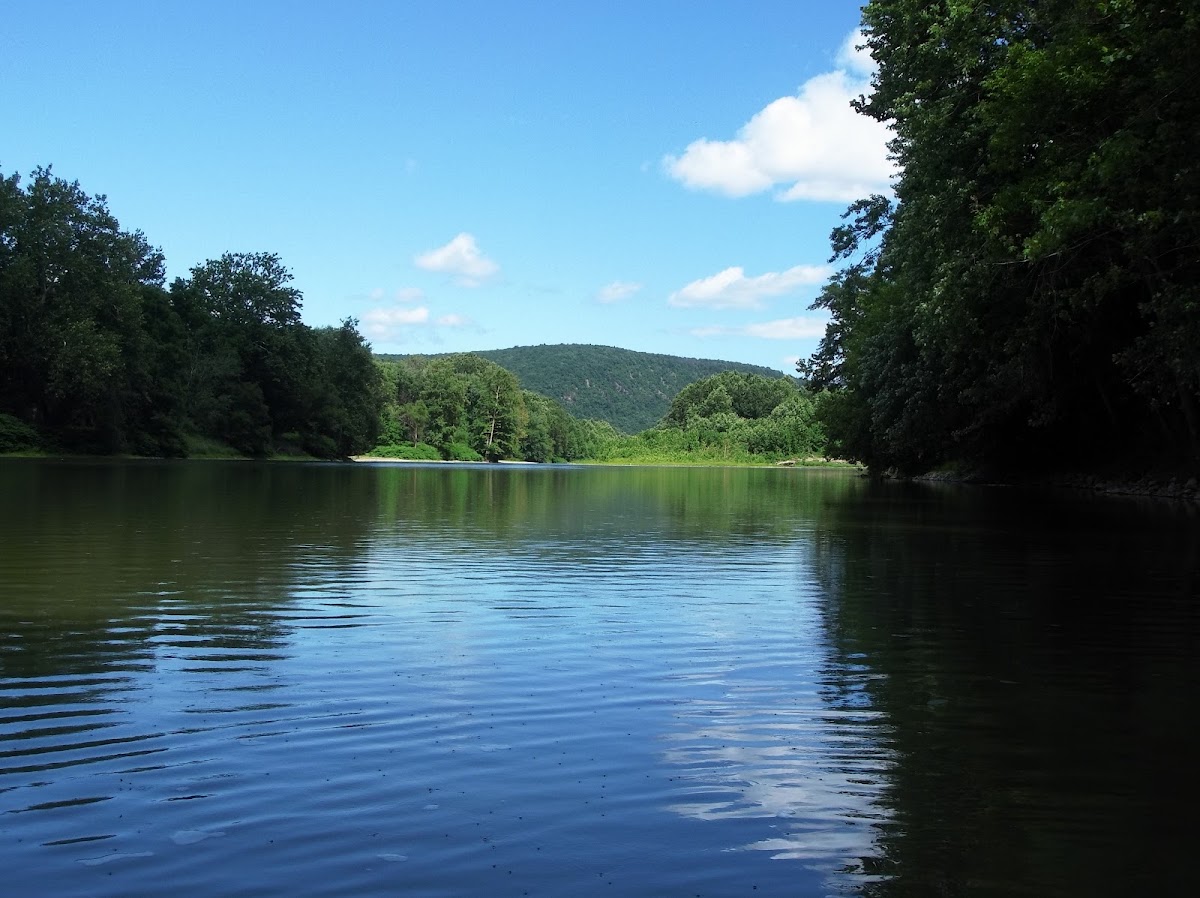 Chemung River