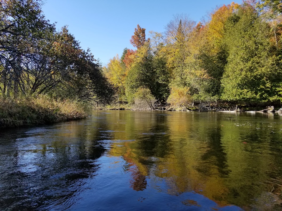 Manistee River