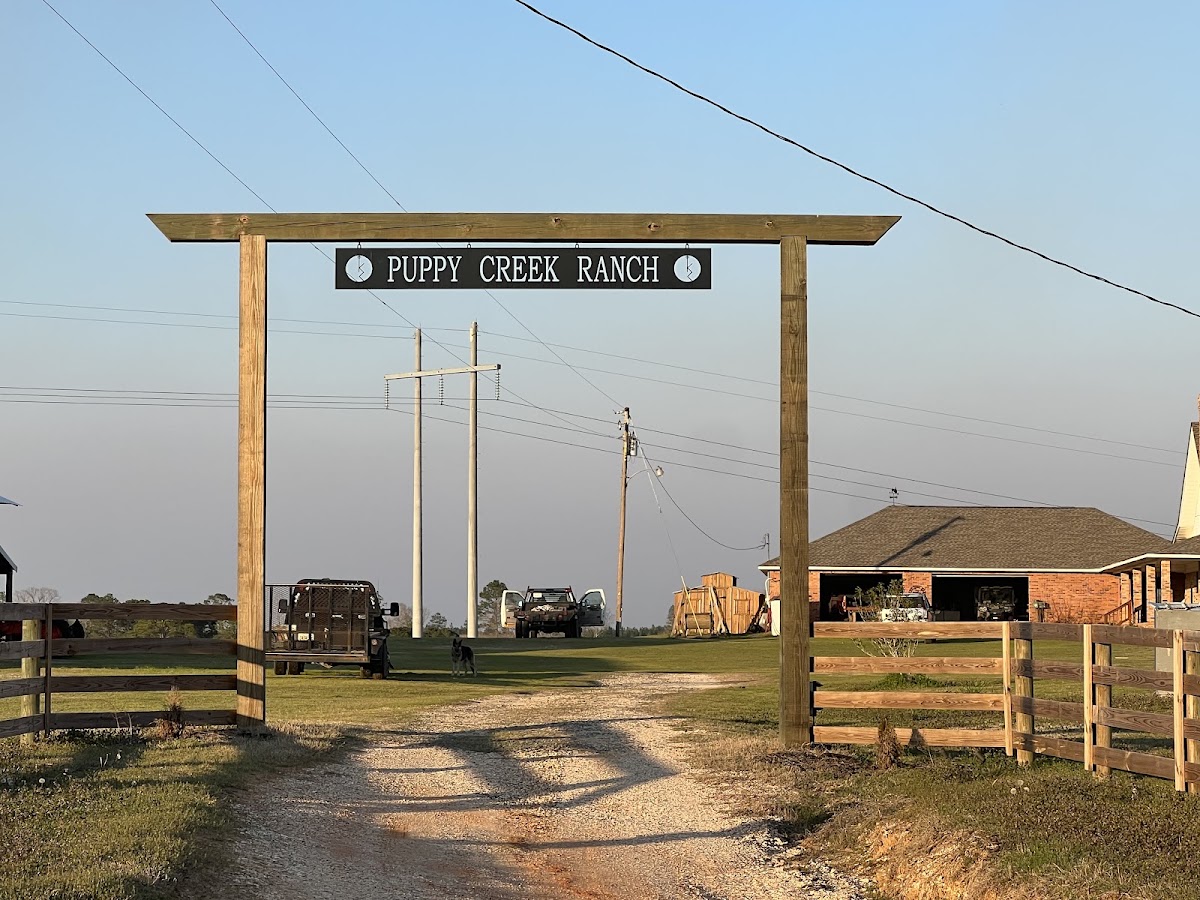 Puppy Creek