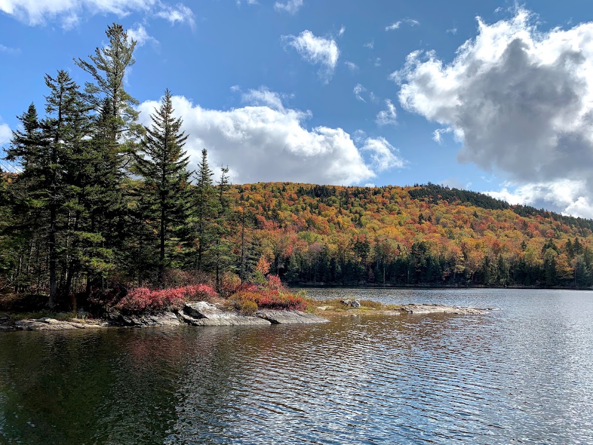 Little Rock Pond