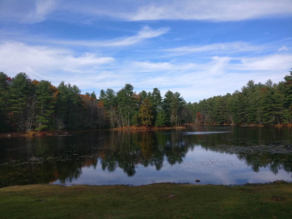 Peck Pond